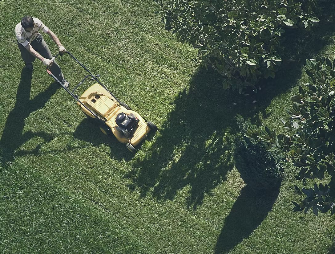 Person mowing a green lawn with a yellow lawnmower, casting a long shadow on the grass.