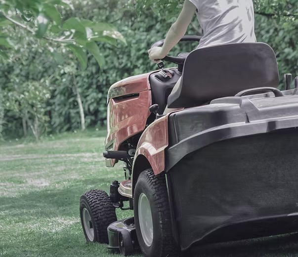 Person driving a red riding lawn mower on grass with a green backdrop of foliage.