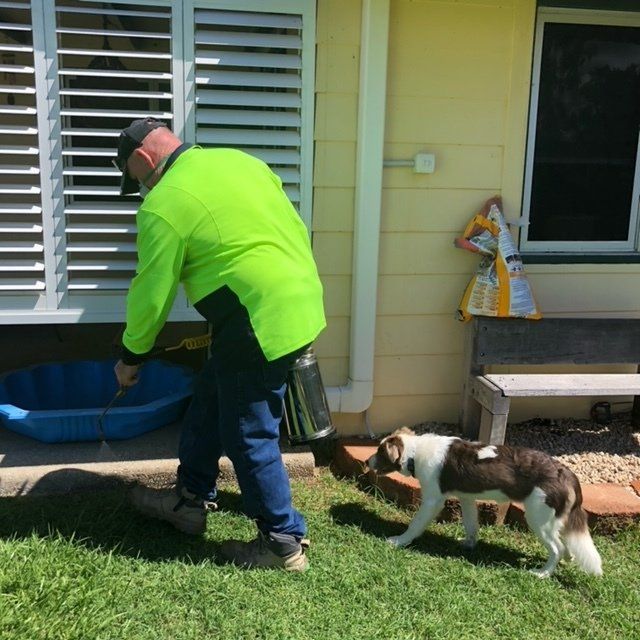 Pest Technician Spraying Pesticides Outdoors — Residential & Commercial Pest Control in Sarina, QLD