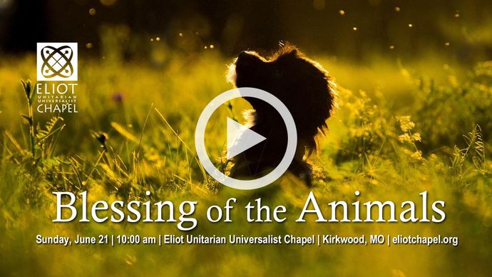 Click to go to video Title image of Sunday's service - click to go to video