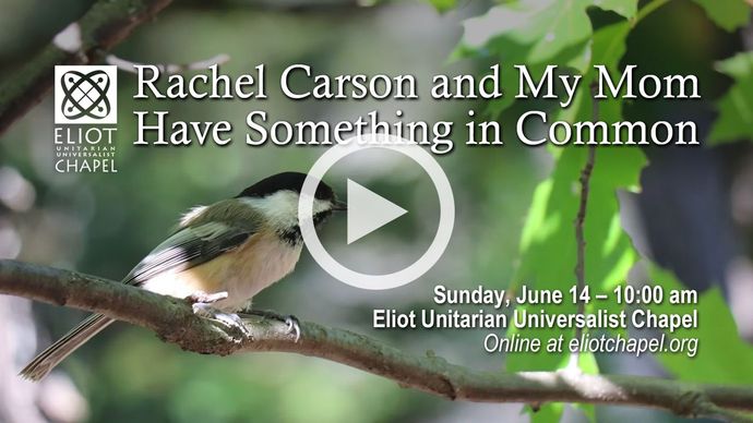 Title image of Sunday's service - click to go to video