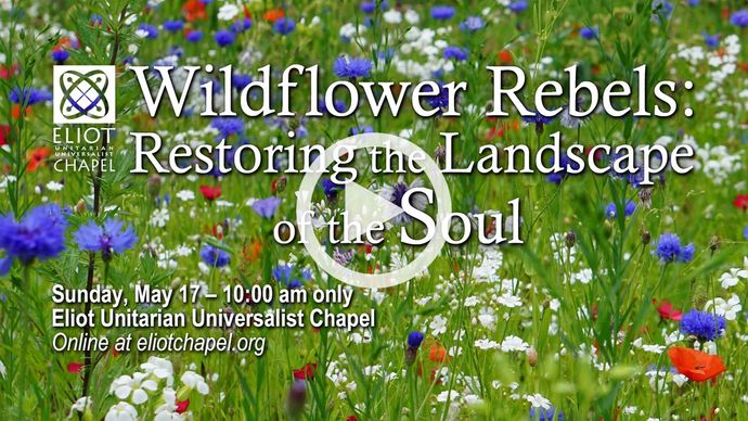 Title image of Sunday's service - click to go to video