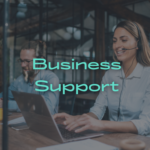 Business Support Recruitment