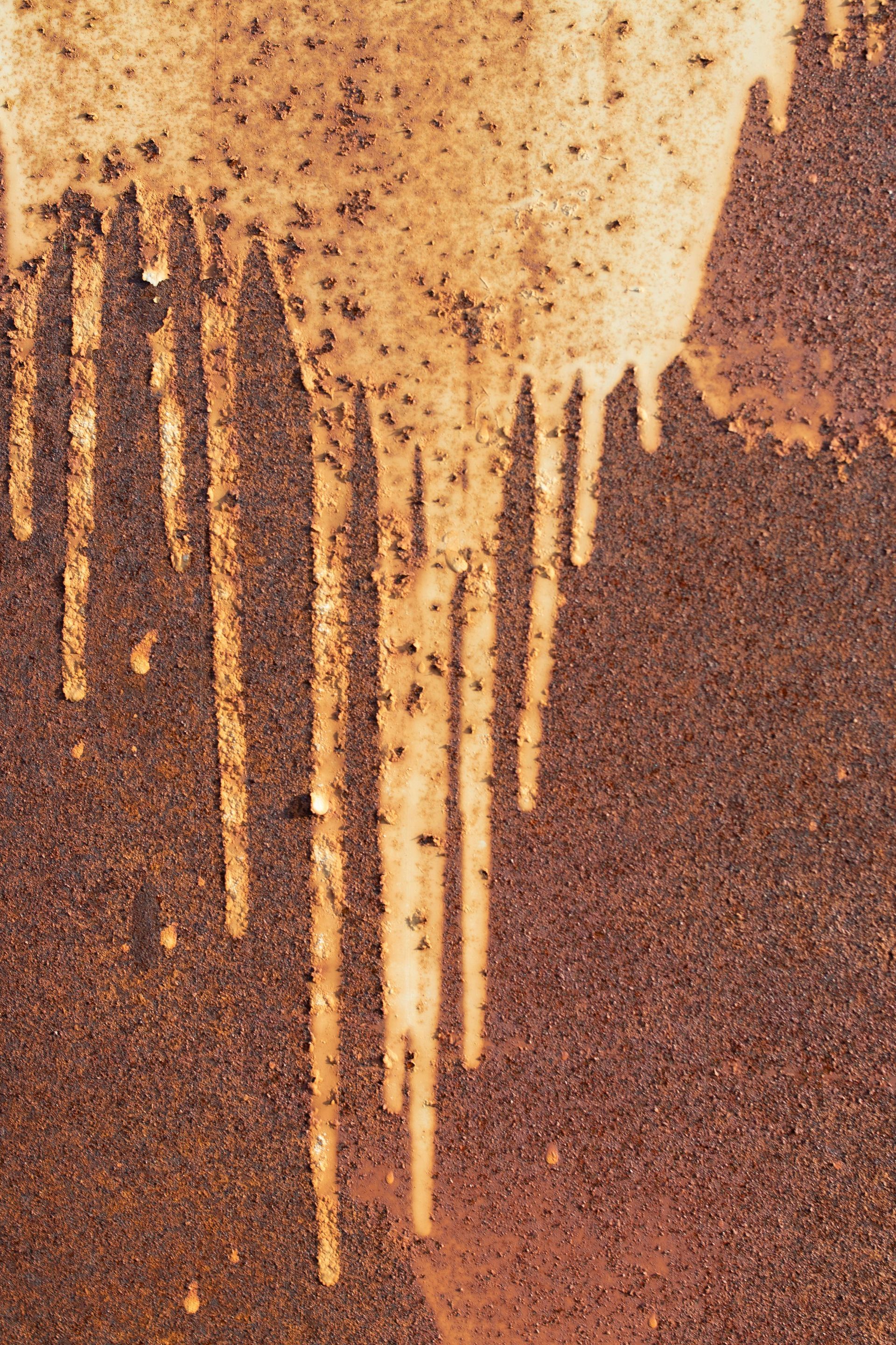 Man using a pressure washer to cleani the brick walkway of a house, removing dirt and grime efficiently.