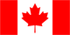 Canadian flag with red side panels and a red maple leaf on a white center field