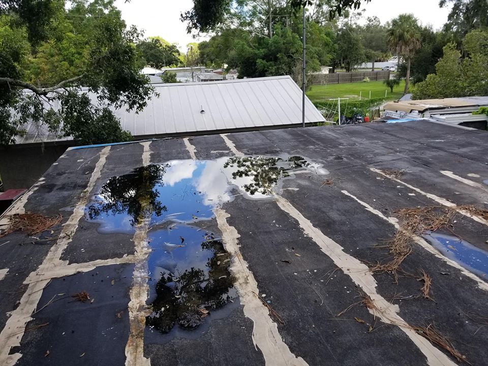 Coastline Roofing project gallery