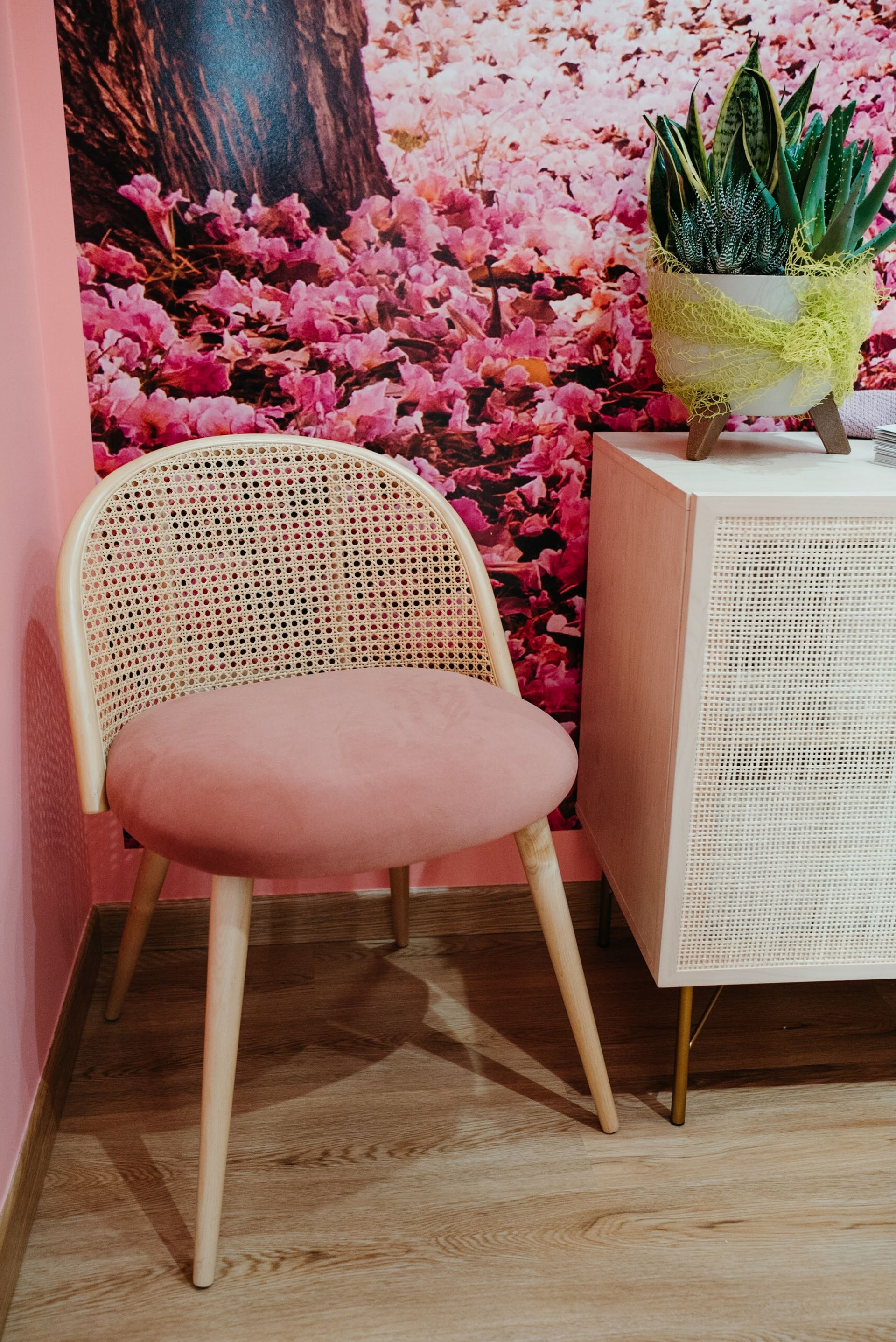 Una sedia rosa con schienale intrecciato e cuscino rosa accanto a un mobile bianco con una pianta in vaso e una parete floreale rosa.