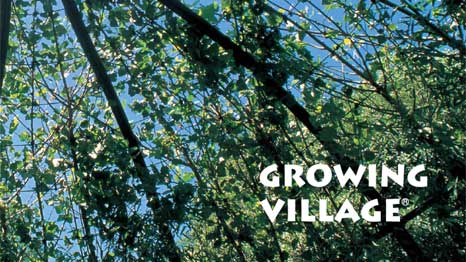 Growing Village
