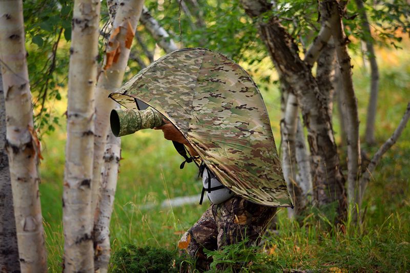 Photographer in camouflage GOShelter with camo privacy film windows within a birch grove; autumn foliage, grassy ground.