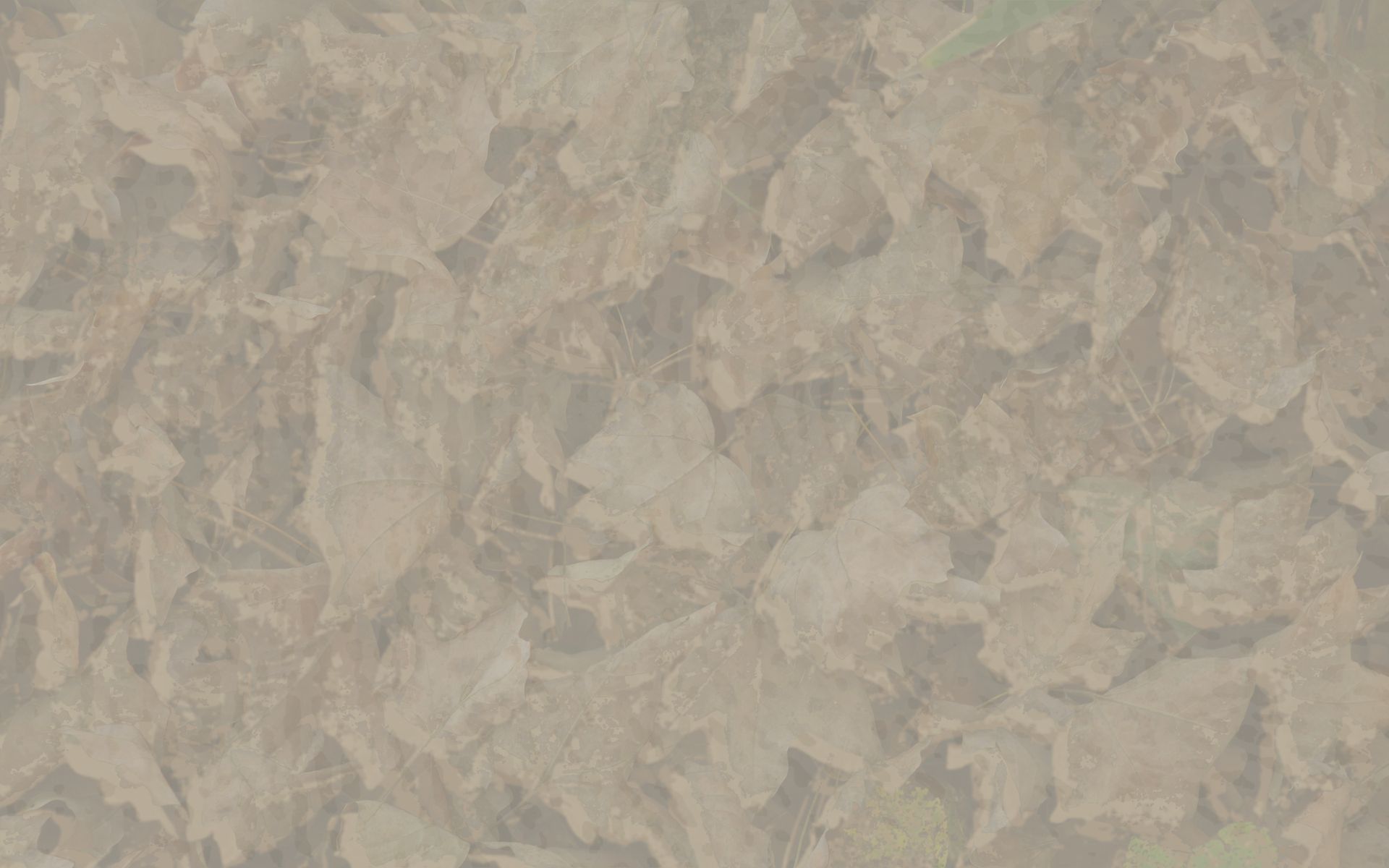 Weathercock Desert Camouflage film with sandy tones of tans and browns