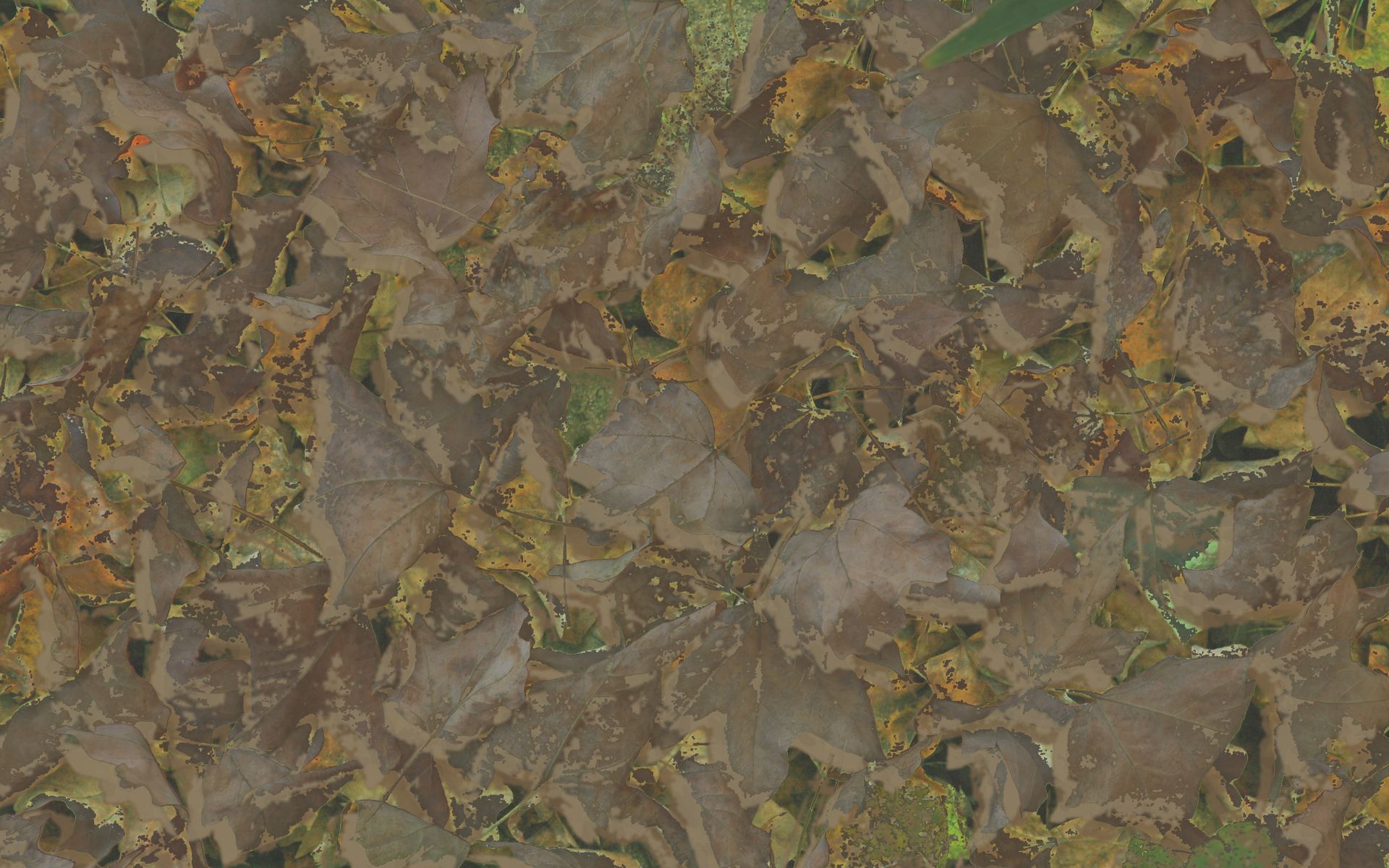 Weathercock Woodland Lite Camouflage film featuring muted brown and gold fallen leaves on the ground.