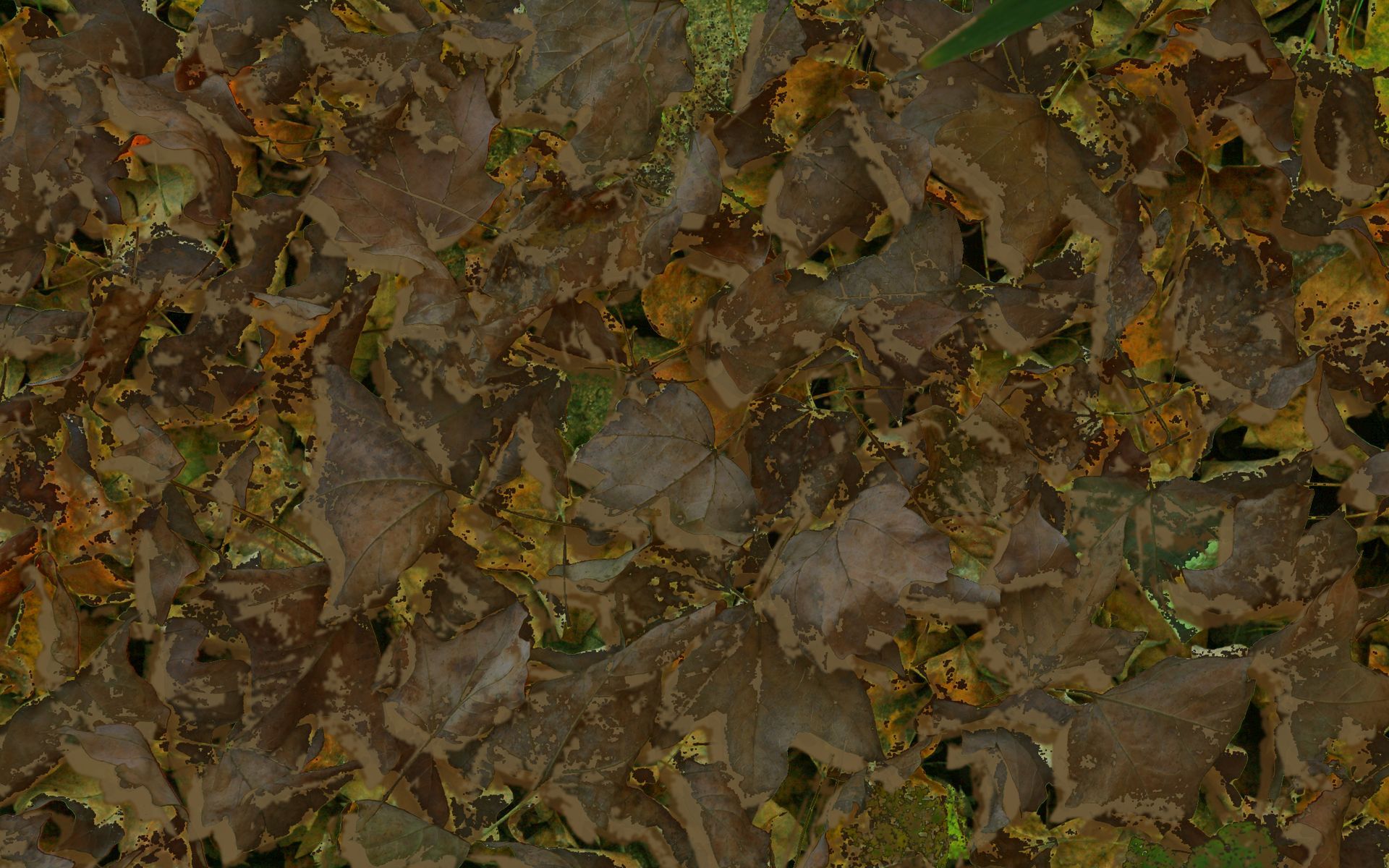 Weathercock Woodland Camouflage film featuring brown and orange fallen leaves, autumn ground cover.