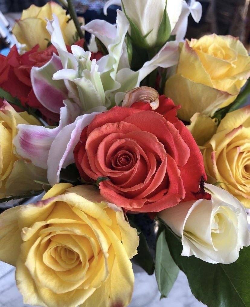 Beautiful Roses - Ridgefield, Connecticut - Lions Paw Interior