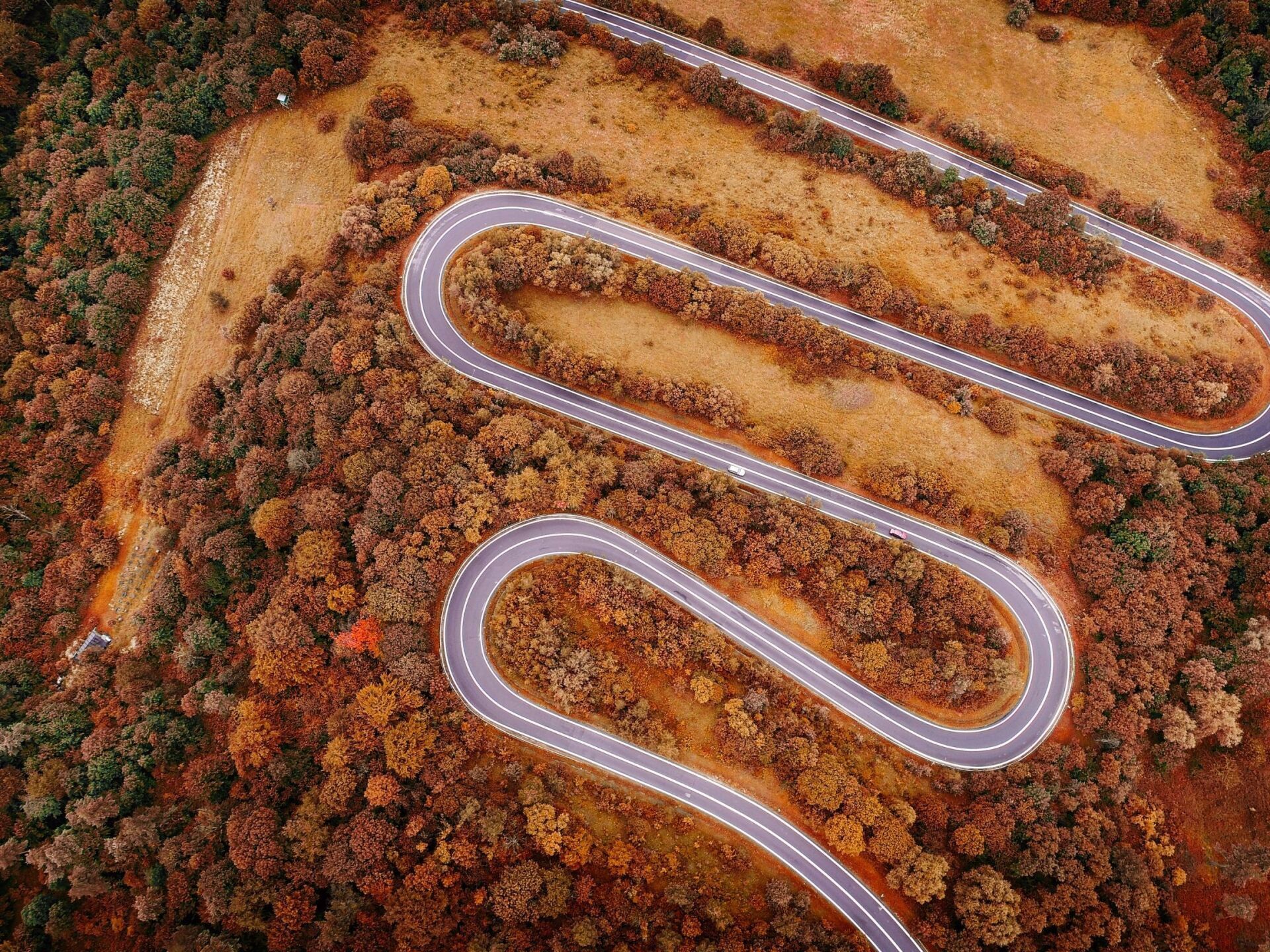 drone photo of a road in nova scotia