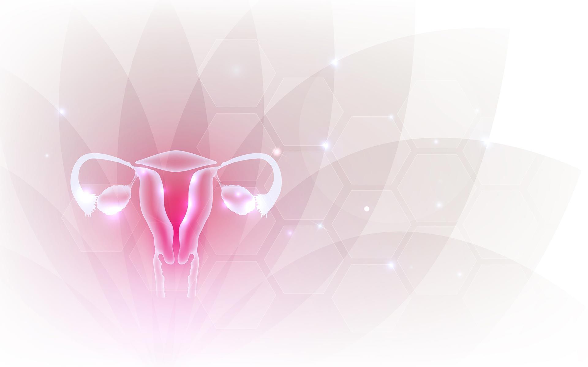 Female reproductive organs beautiful artistic design, transparent flower at the background. Female reproductive organs beautiful artistic design, transparent flower at the background.