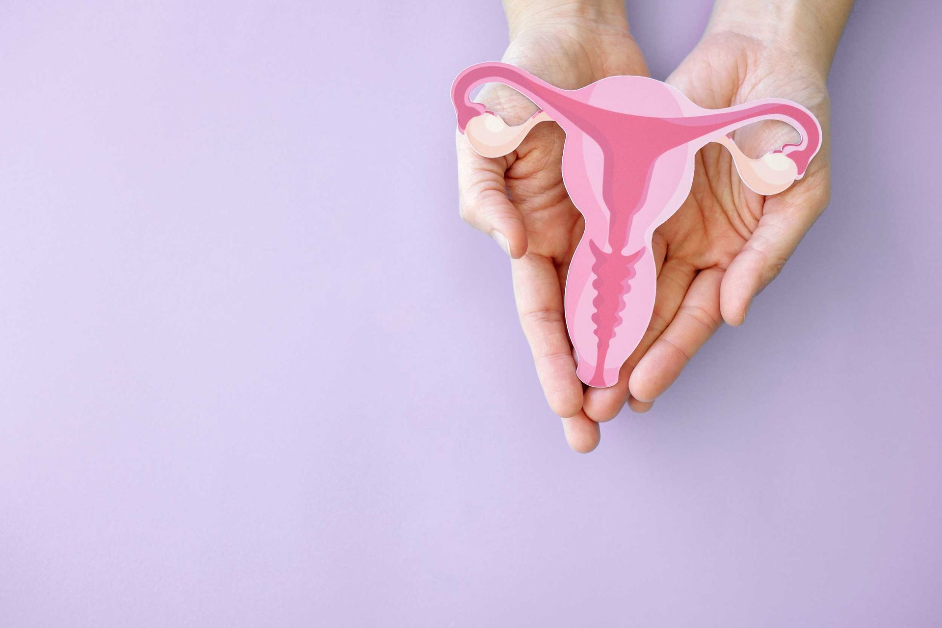 Hands hold a pink uterus illustration against a soft purple background.