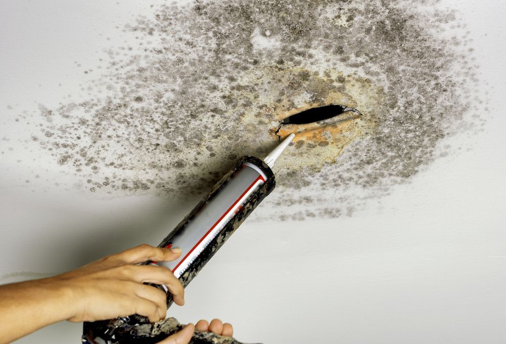 Person Applying Caulk to Ceiling Around a Hole With Mold — Ultimate Restoration Services in Koongal, QLD