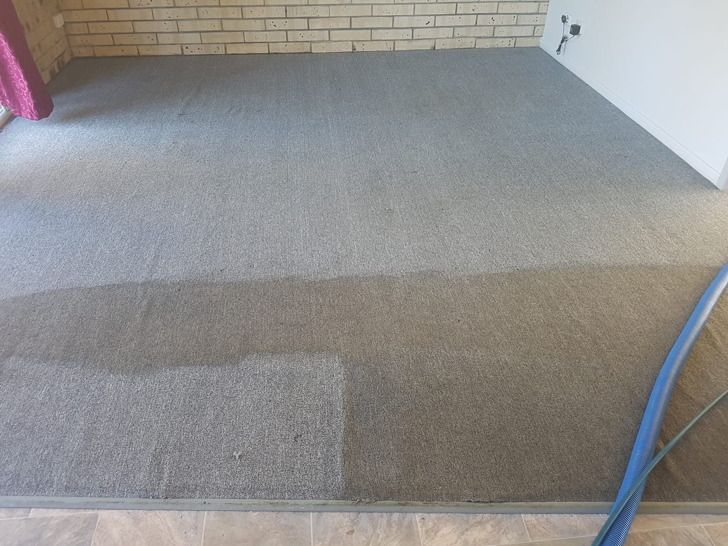 Carpeted Floor, Partially Cleaned. Light Gray Carpet With a Darker, Wet Strip — Ultimate Restoration Services in Koongal, QLD