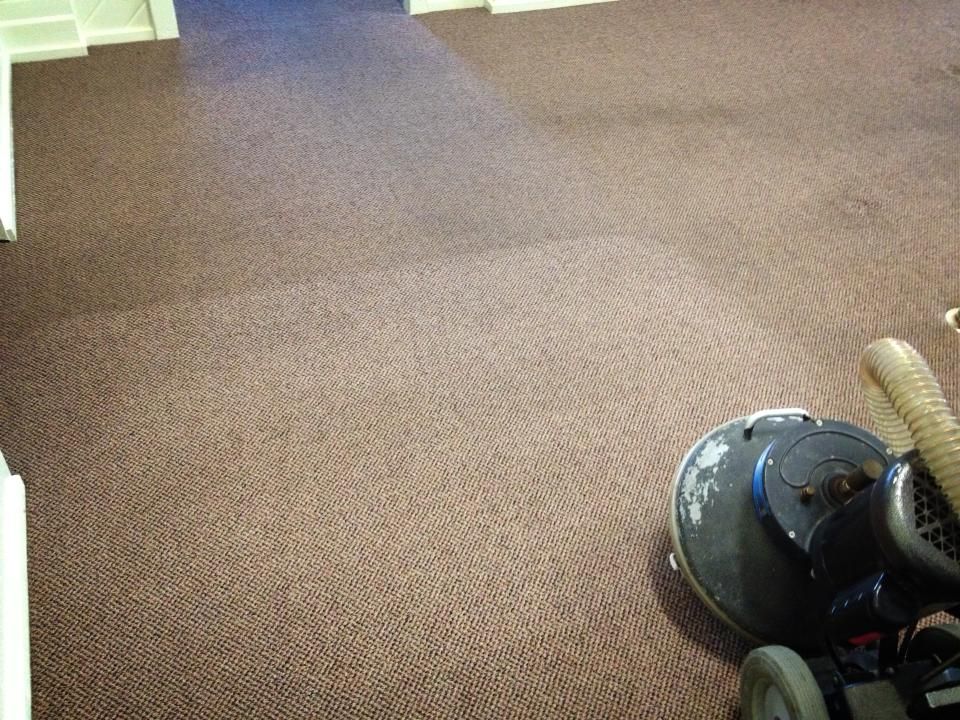 Carpet Being Cleaned by a Floor Buffer; Shows a Light Colored, Cleaned Path — Ultimate Restoration Services in Koongal, QLD