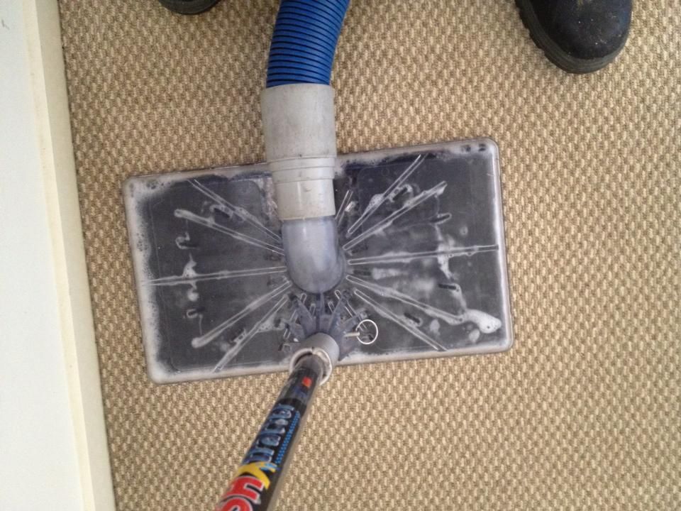 Carpet Cleaner in Use, With a Suction Head on Beige Carpet — Ultimate Restoration Services in Koongal, QLD