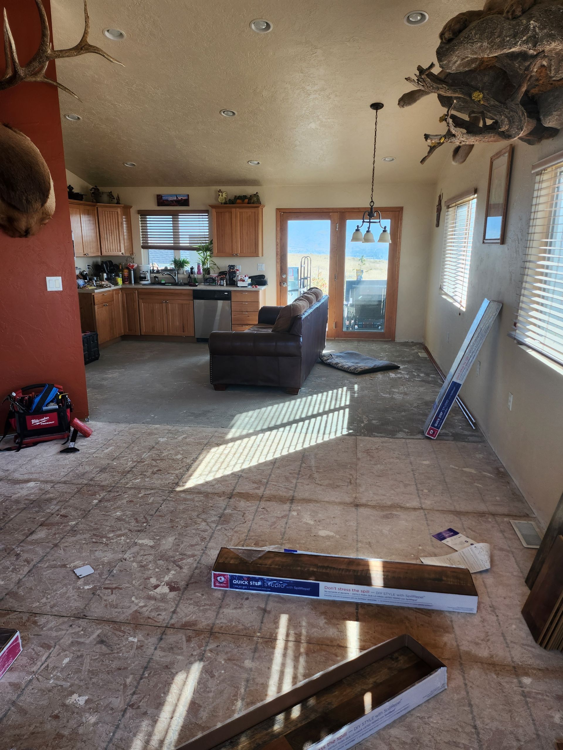 A living room with a deer head on the wall and boxes on the floor.