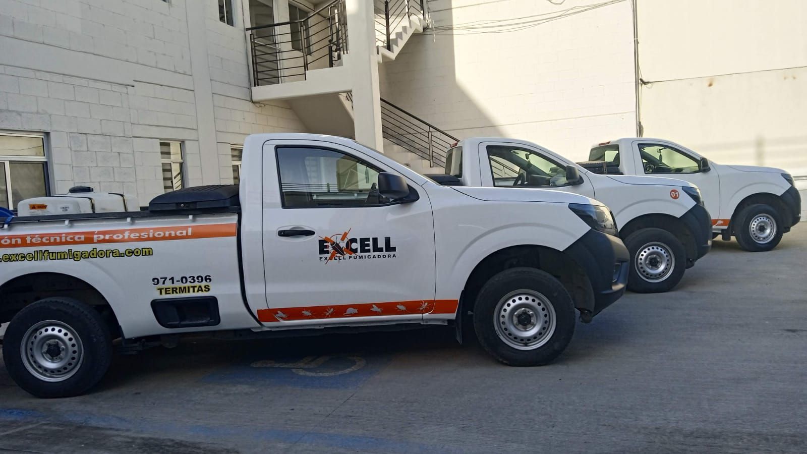 EXCELL FUMIGADORA SA DE CV  - FUMIGACIÓN