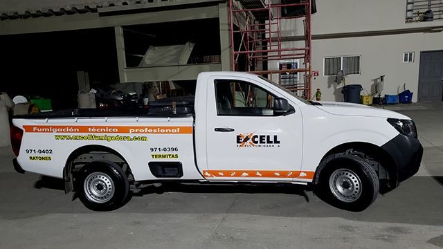 EXCELL FUMIGADORA SA DE CV  - DESINFECCIONES