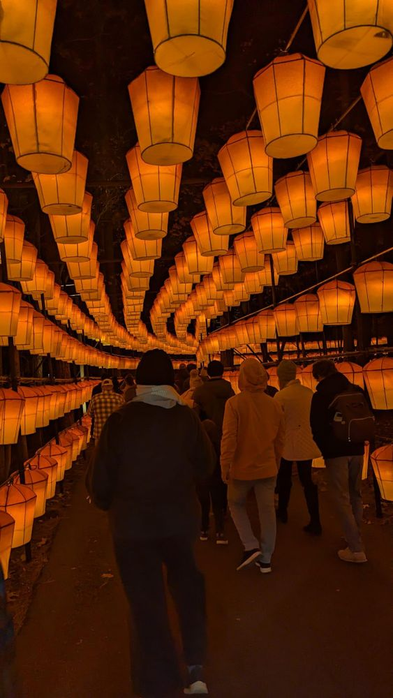 A group of people are walking under a row of lanterns hanging from the ceiling.