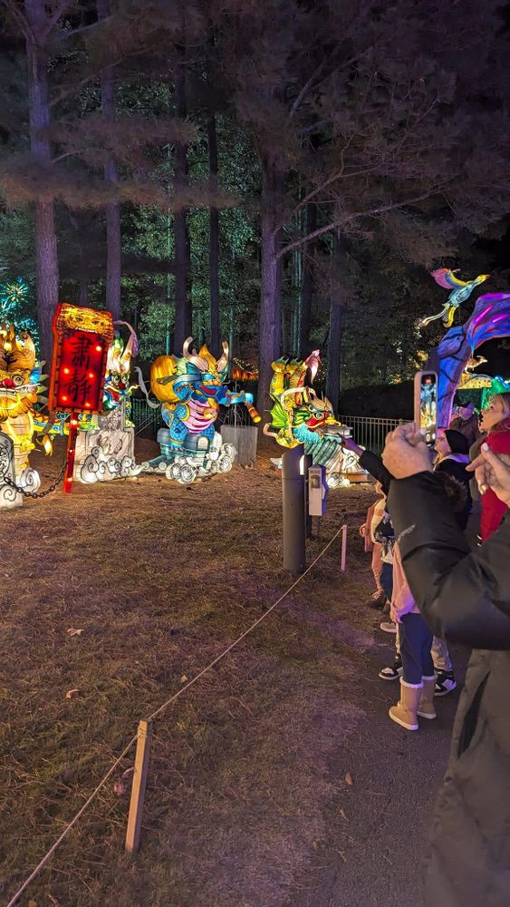 A person is taking a picture of a display of lanterns in the woods.