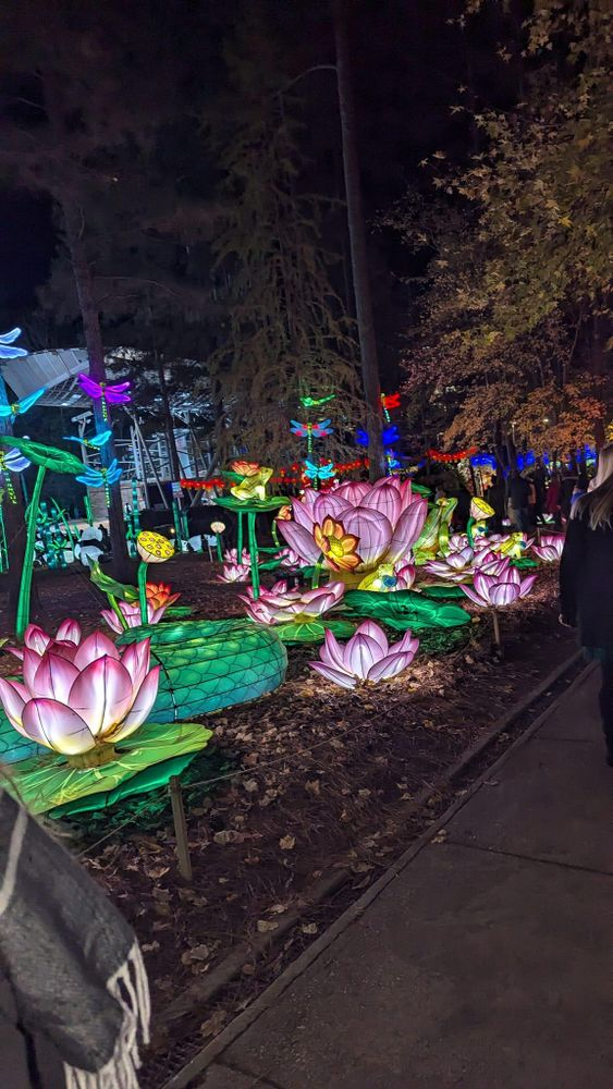 A person is walking down a sidewalk next to a bunch of lit up flowers.