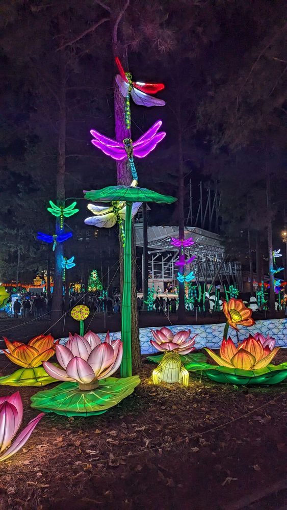 A bunch of colorful flowers are sitting on the ground at night.