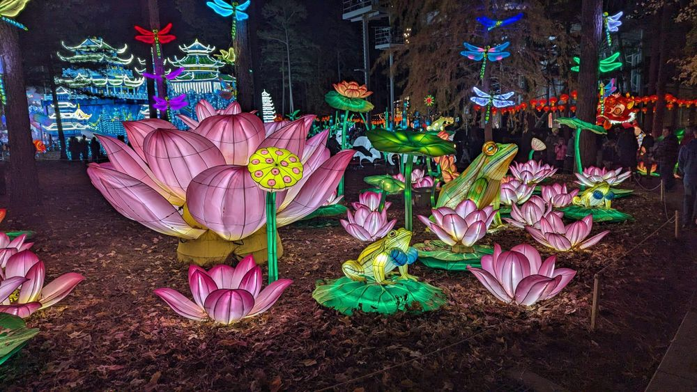 A bunch of flowers and frogs are sitting on the ground at night.