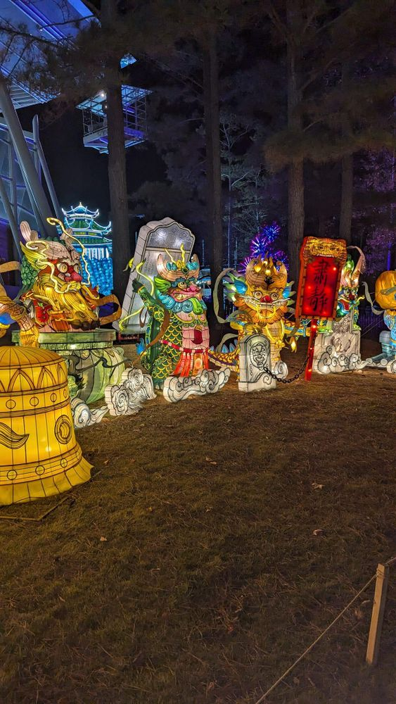 A group of lanterns are sitting on top of a lush green field.