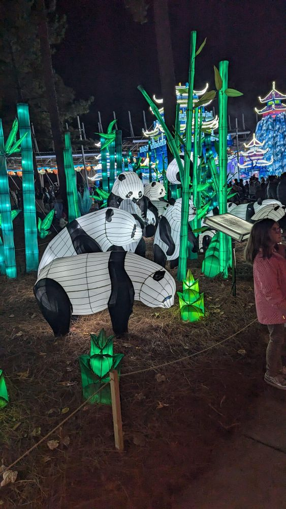 A woman is standing in front of a panda lantern.