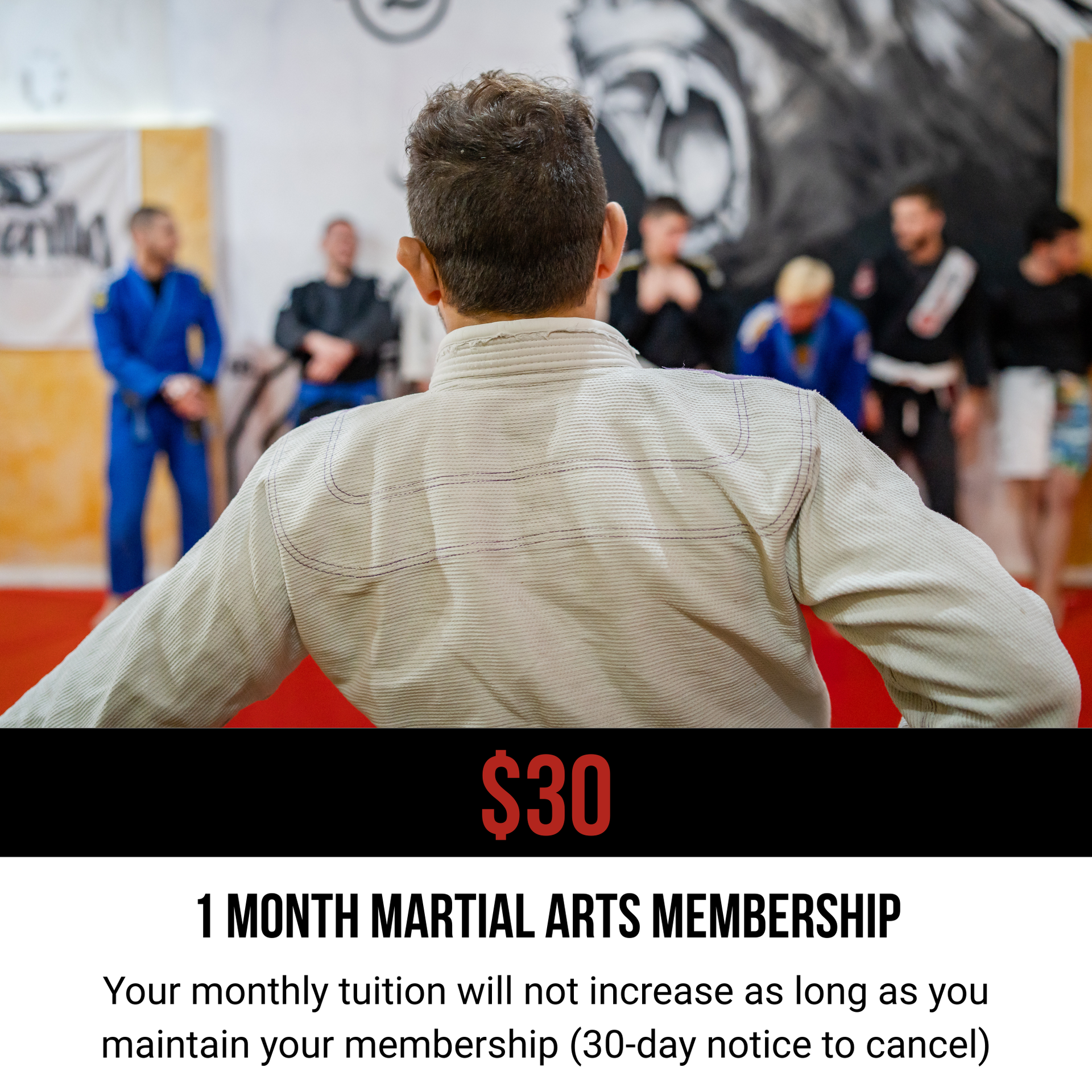 A gym member in a white gi faces a group of peers in a training room. Text states: $30 for a 1-month martial arts membership.