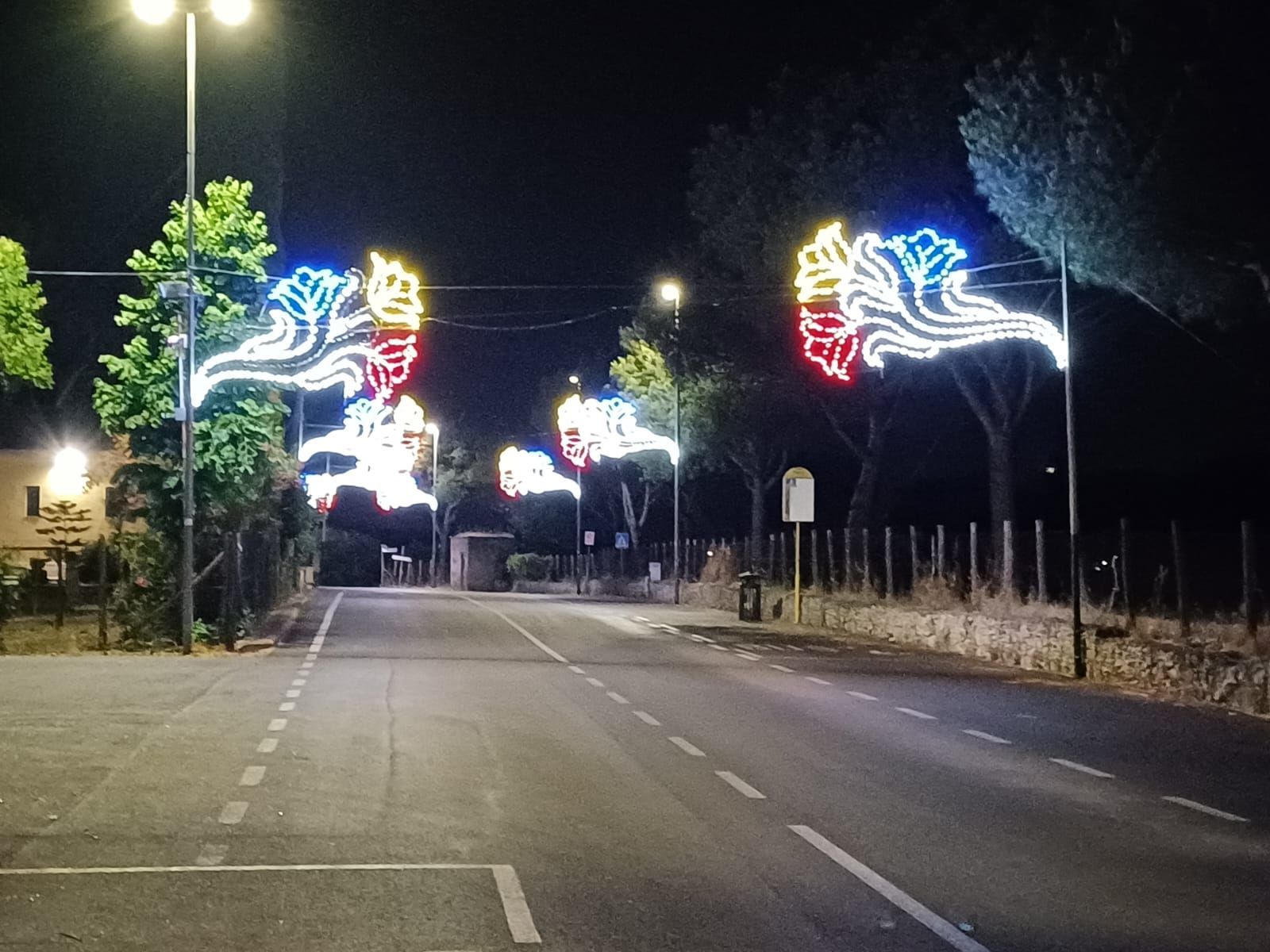 Veduta notturna di una strada asfaltata illuminata da luci decorative multicolori a forma di fiore, fissate su pali.