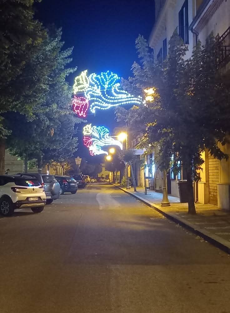 Una scena notturna di strada con decorazioni luminose ornamentali e scintillanti sospese sopra una strada fiancheggiata da auto parcheggiate e alberi.
