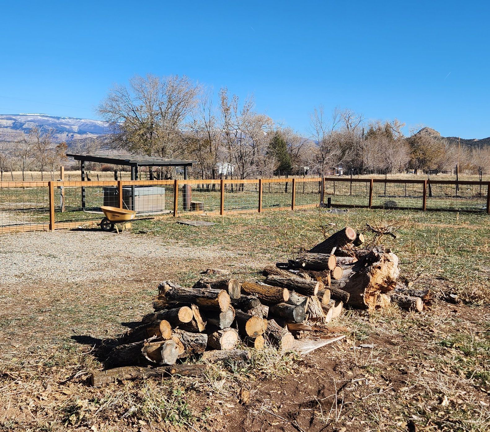 a pile of logs in a field with a wooden fence in the background .