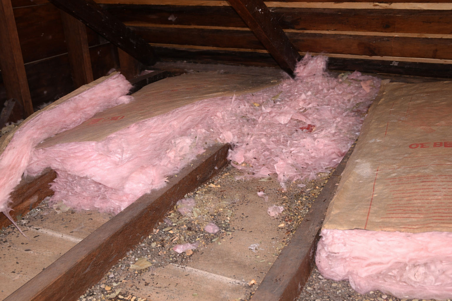 Rat Trap and Removal by Salute To Service Wildlife Management