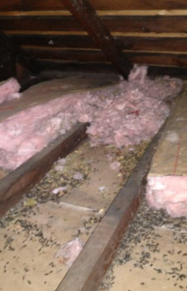 Contact Us Salute To Service Wildlife Management 