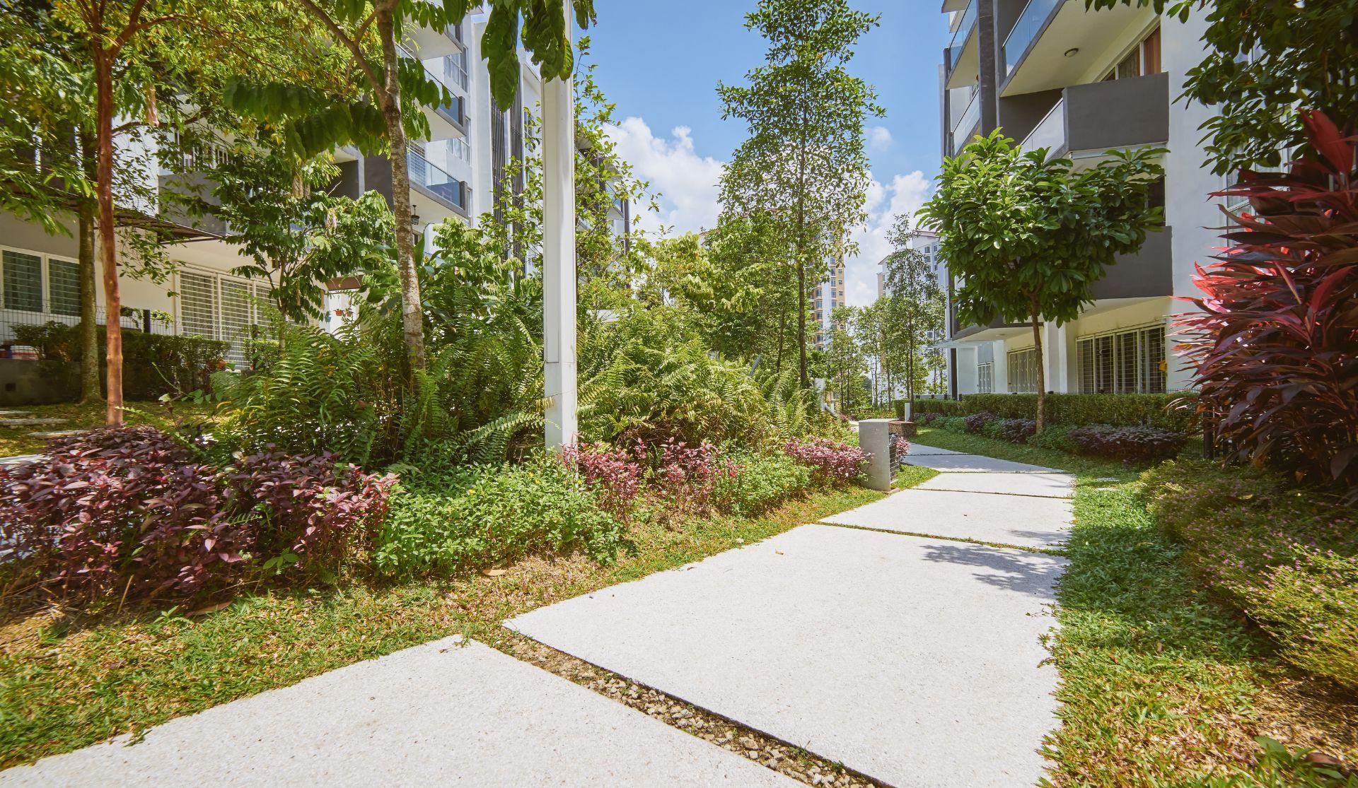 A walkway between two apartment buildings with trees and bushes
