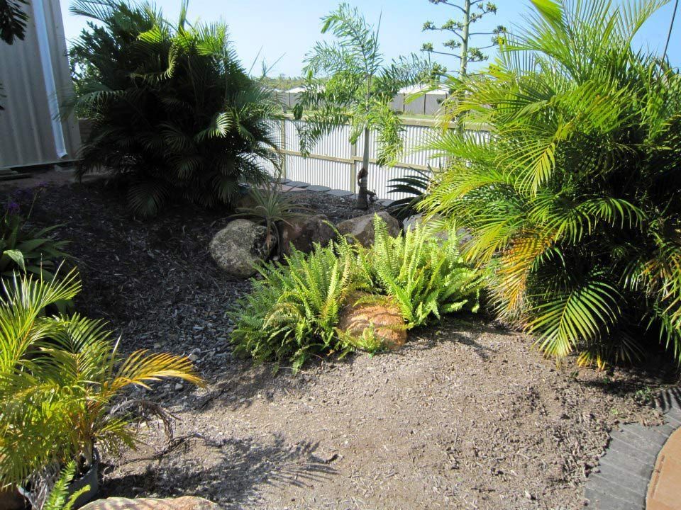 Heathy Plants At The Backyard — Austen Landscaping & Earthmoving in Deeragun, QLD