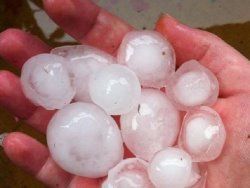 Hand holding several large hailstones, white and icy-looking, outdoors.