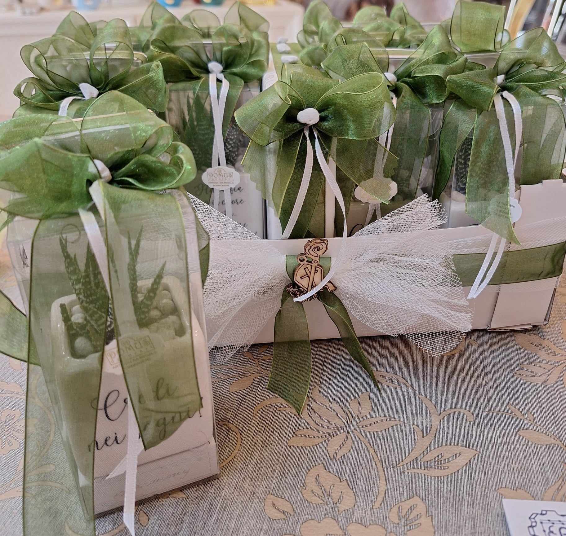 bomboniere con piante grasse