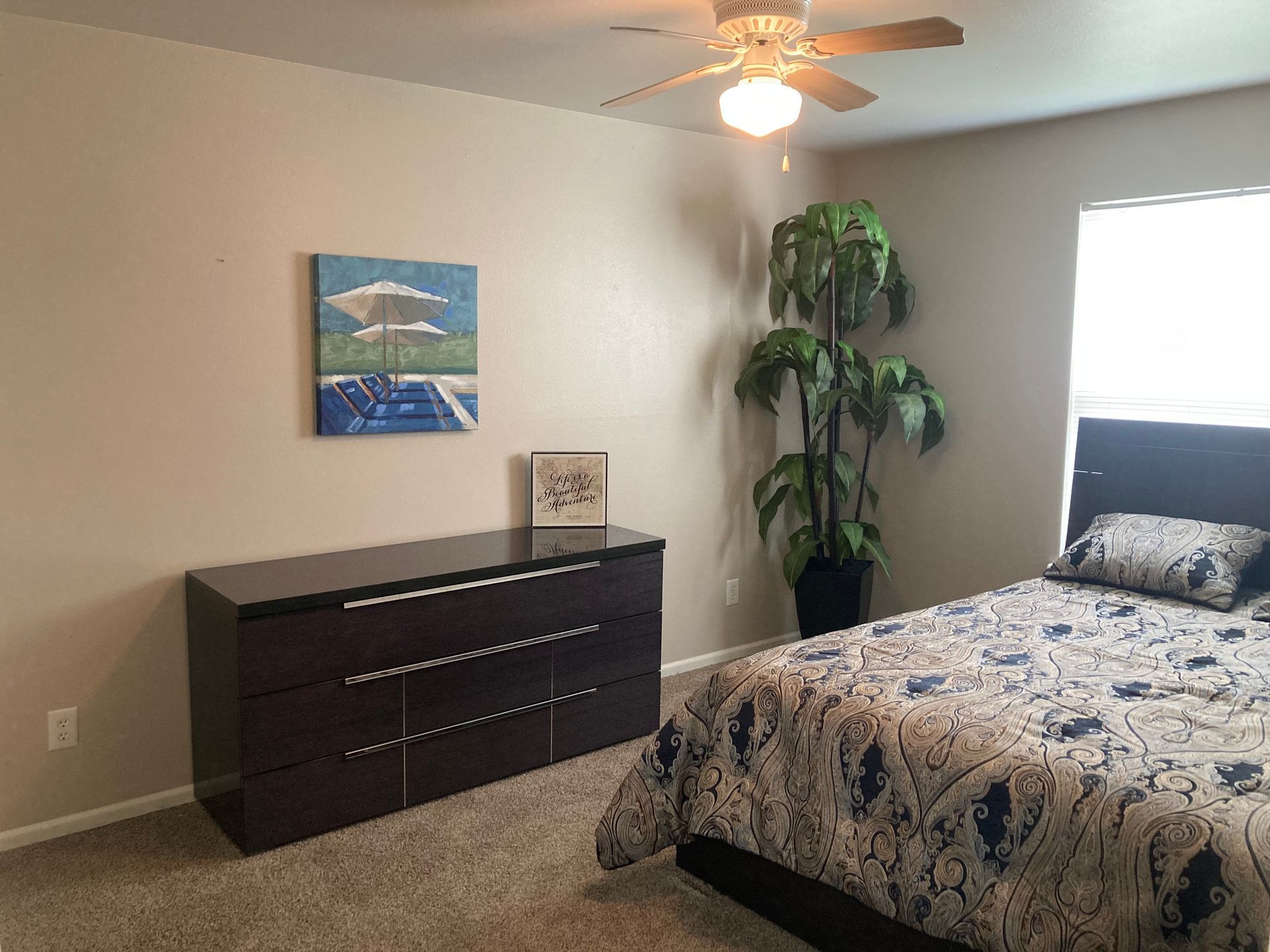 Bedroom with dresser, art, bed, large plant, and ceiling fan.