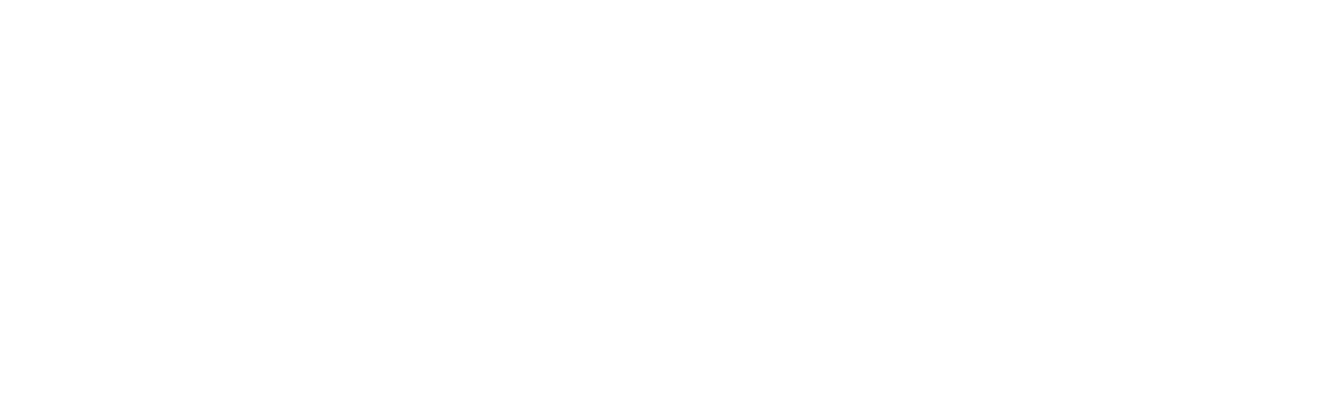 The District at Manhattan Logo