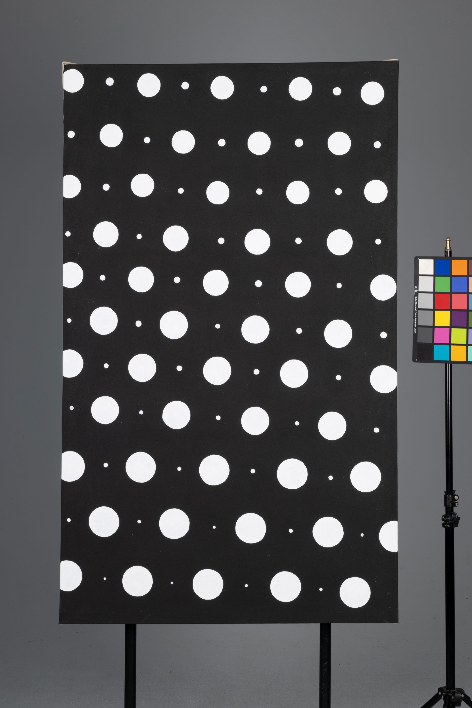 Black panel with evenly spaced white polka dots beside a color calibration chart on a gray backdrop