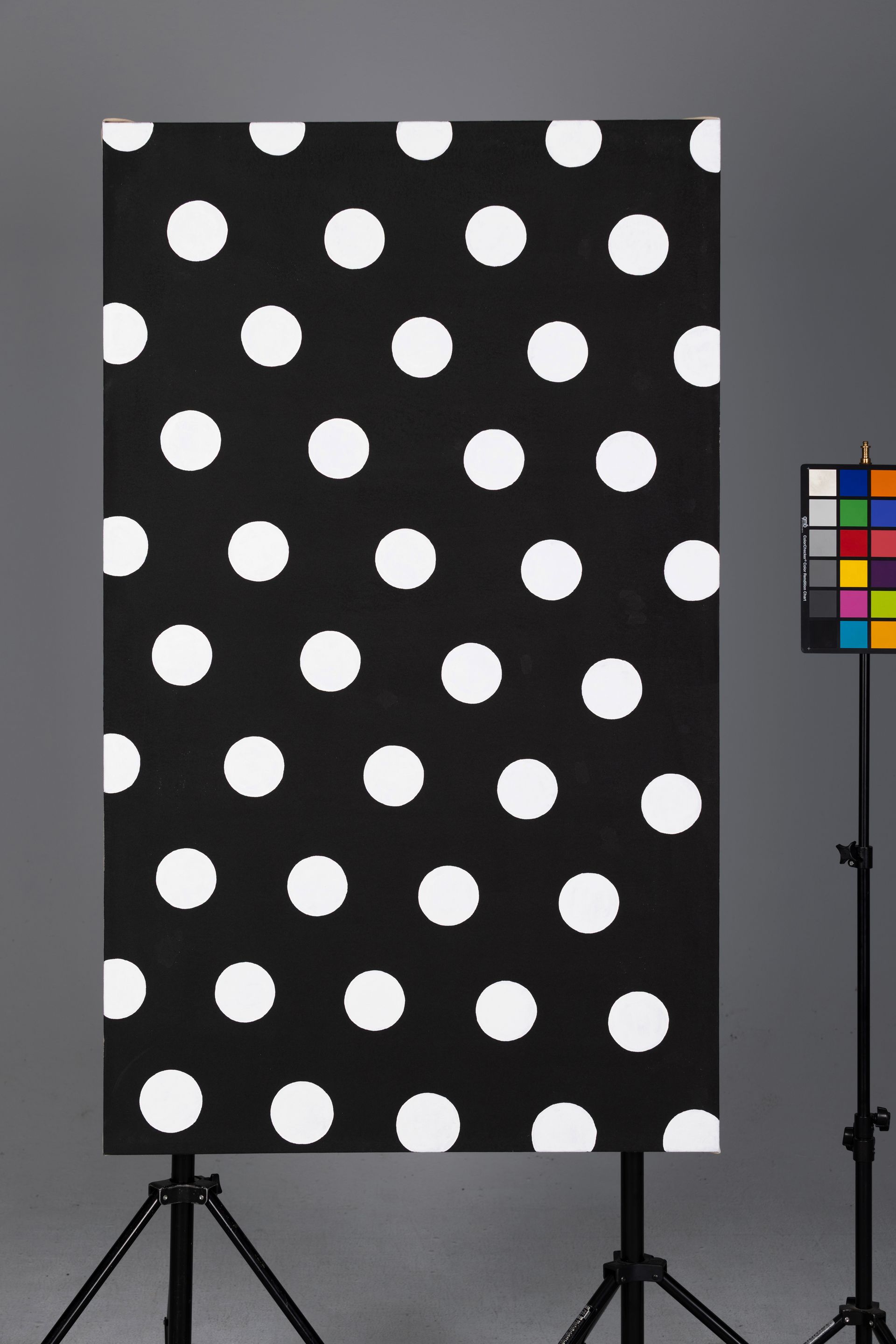 Black fabric with large white polka dots on a stand beside a color checker chart and tripod.