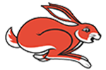 A red and white rabbit is running on a white background.