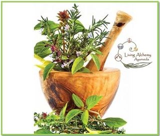 online ayurvedic consultation